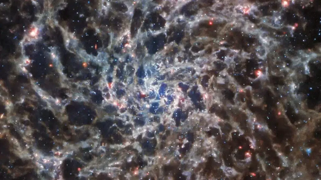 El telescopio espacial James Webb revela el esqueleto de una galaxia lejana en una nueva e impresionante imagen 1 Una imagen del telescopio espacial James Webb de la galaxia espiral IC 5332. (Crédito de la imagen: ESA/NASA/CSA/J. Lee)