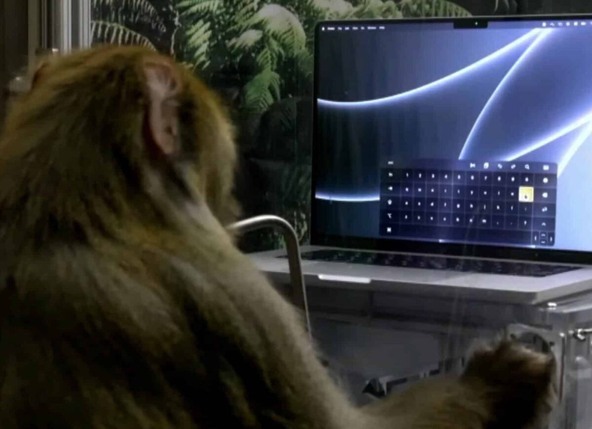 Neurallink consigue que un mono pueda teclear con la mente, pero ¿es para tanto?