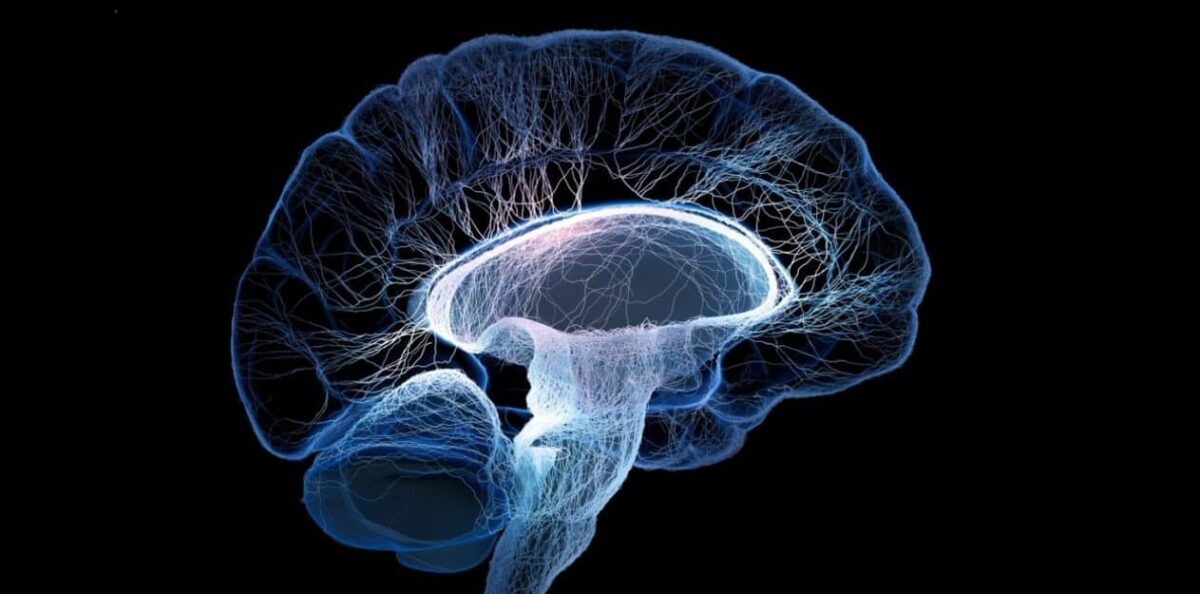 Un medicamento para el Parkinson reduce los efectos de la inflamación en el cerebro en la depresión