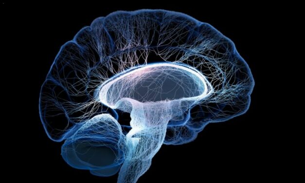 Un medicamento para el Parkinson reduce los efectos de la inflamación en el cerebro en la depresión