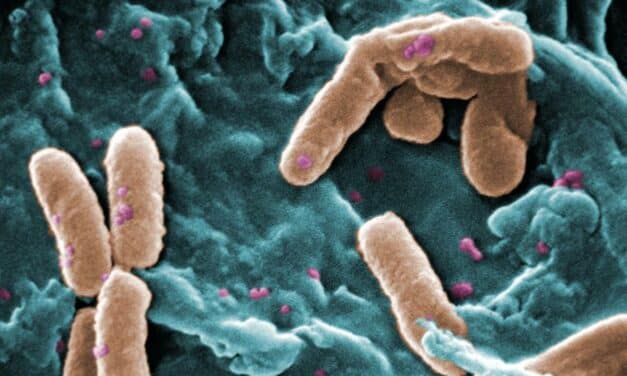 ¿Qué tienen en común Keanu Reeves y estas bacterias asesinas?