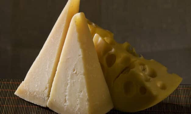 En busca de los orígenes del queso en el mundo y en la historia