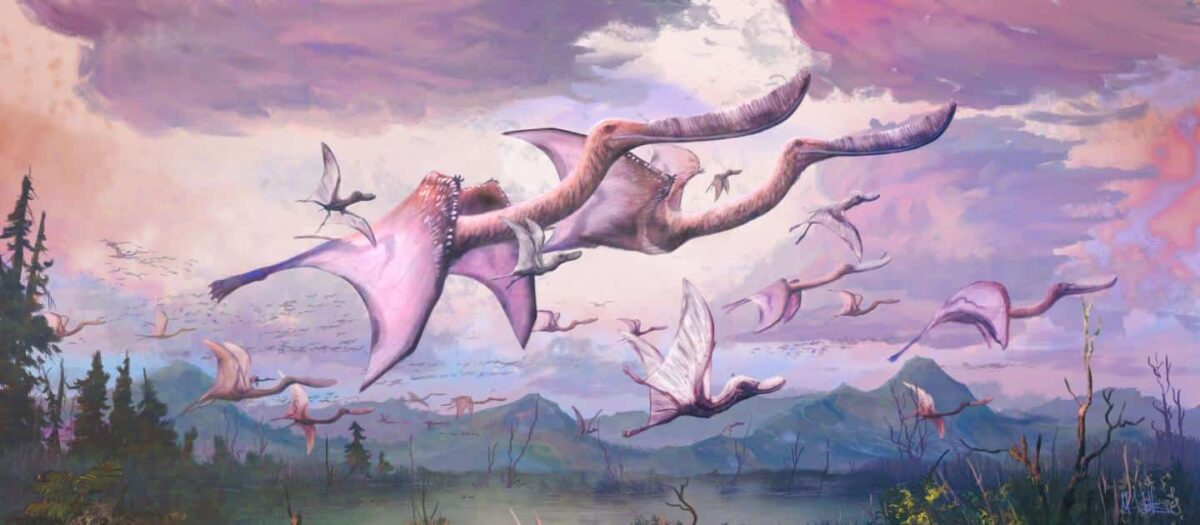 Los pterosaurios recién nacidos podrían haber sido capaces de volar