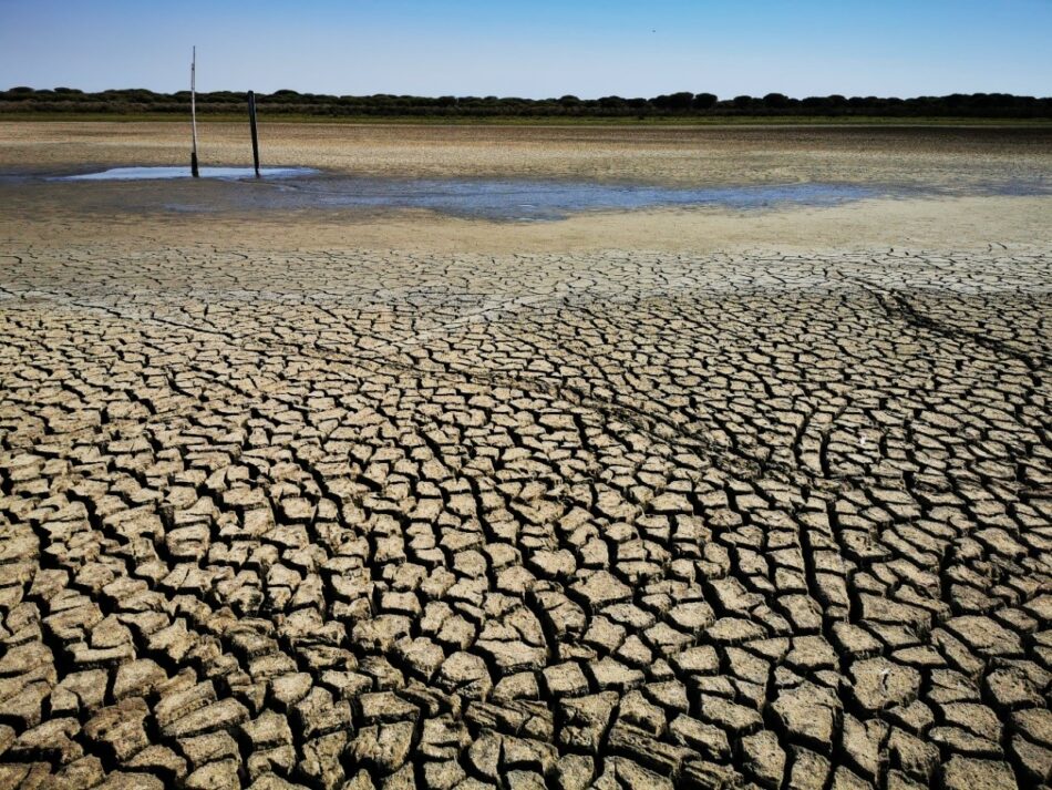 Estación Biológica de Doñana, la batalla final contra el cambio climático
