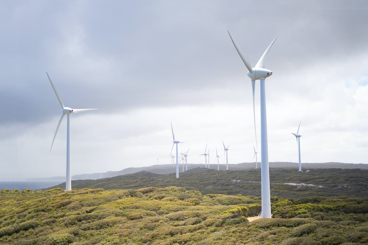 Dónde están los mayores parques eólicos del mundo