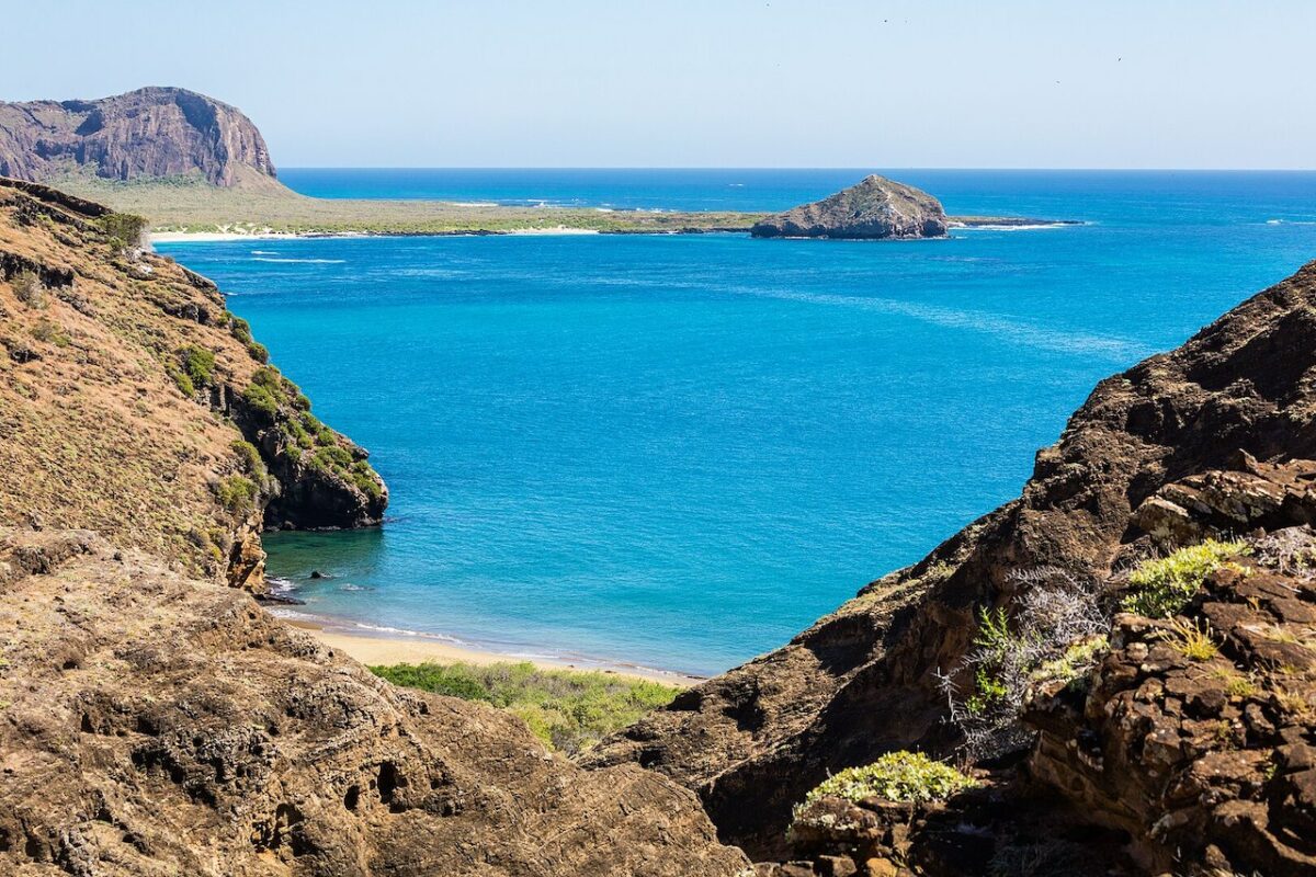 Los pinzones en las islas Galápagos: el laboratorio vivo de la evolución en la Tierra