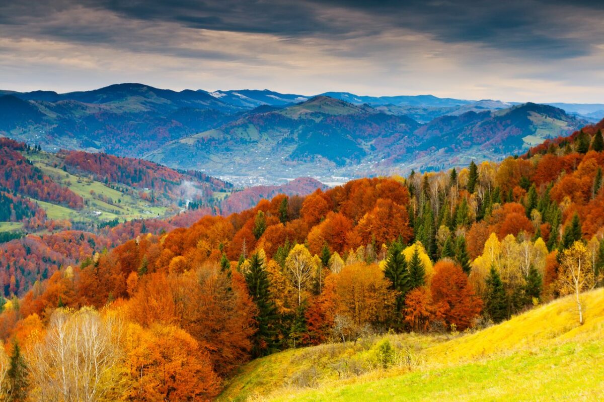Los más espectaculares bosques de otoño en España