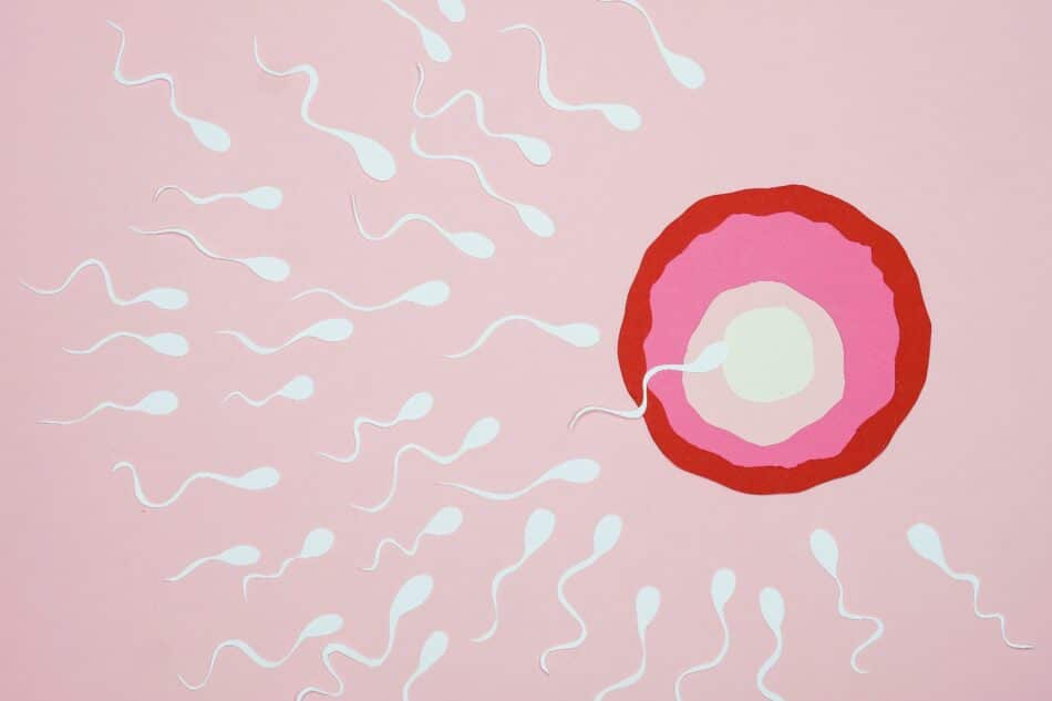 Microbioma del semen: las bacterias que determinan si eres fértil