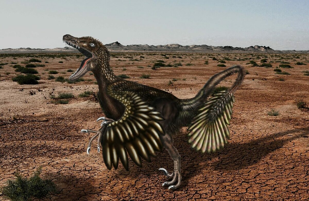 Dinosaurios con plumas: ¿cómo sabemos si podían volar?