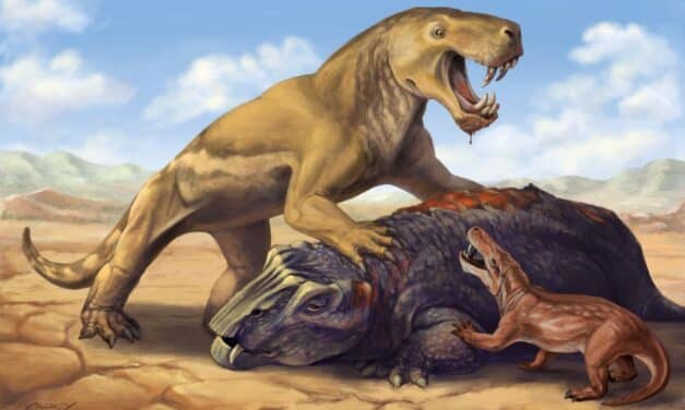 Por qué los depredadores de hace 300 millones de año perdieron sus dientes de sable