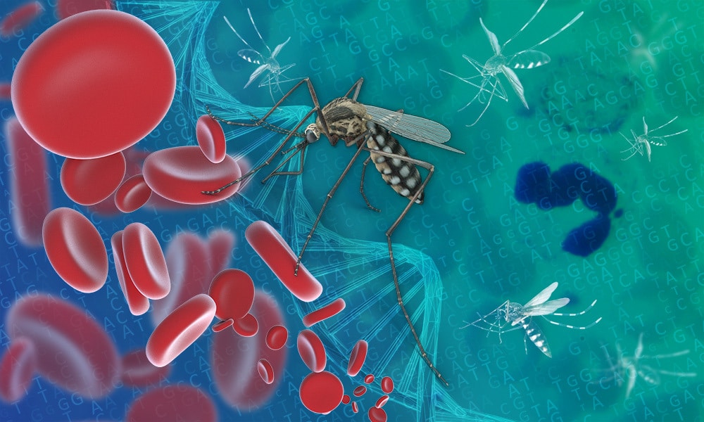 El parásito de la malaria, un maestro del copia-pega genético