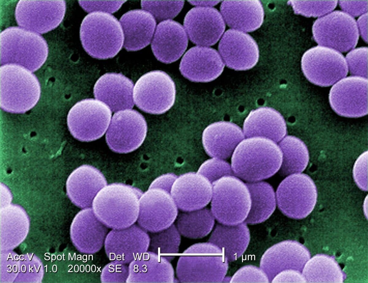 El cambio climático empeora la resistencia a los antibióticos