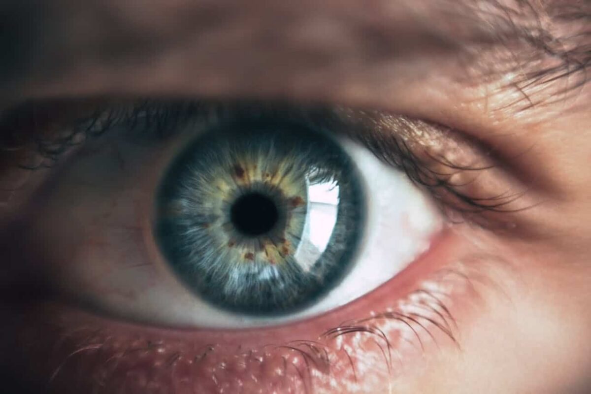 CRISPR puede devolver la vista a las personas con problemas genéticos de visión