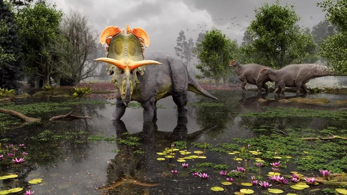 Lokiceratops: descubierto un nuevo dinosaurio con grandes cuernos en forma de cuchillas