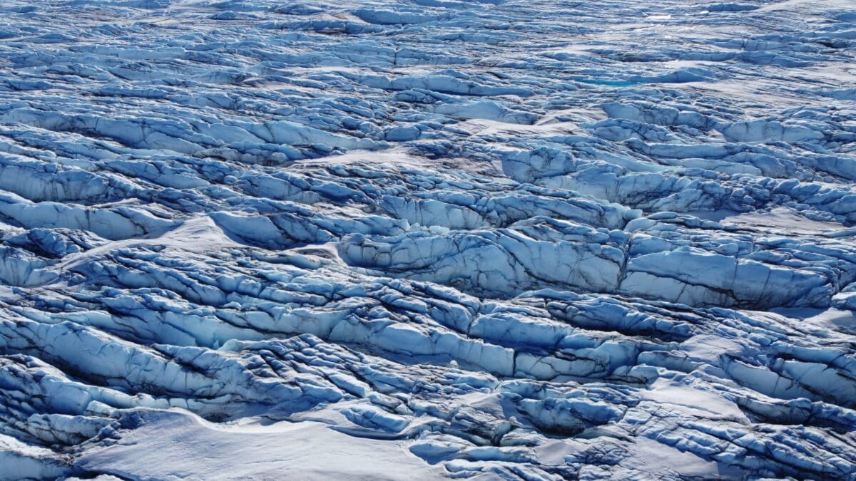 Descubren virus gigantes en Groenlandia que podrían impedir el deshielo