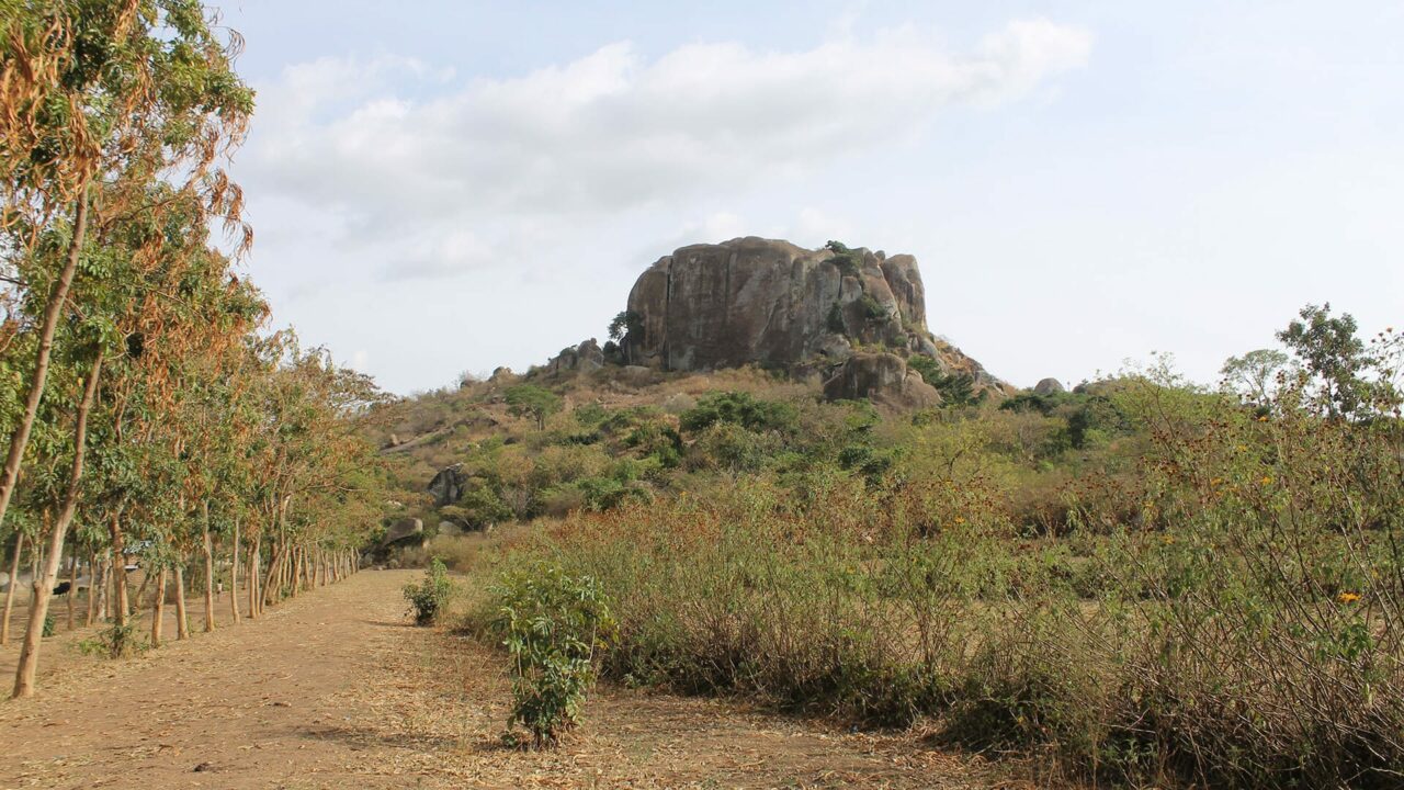 Guisantes milenarios: descubiertos los restos más antiguos de agricultura en África oriental