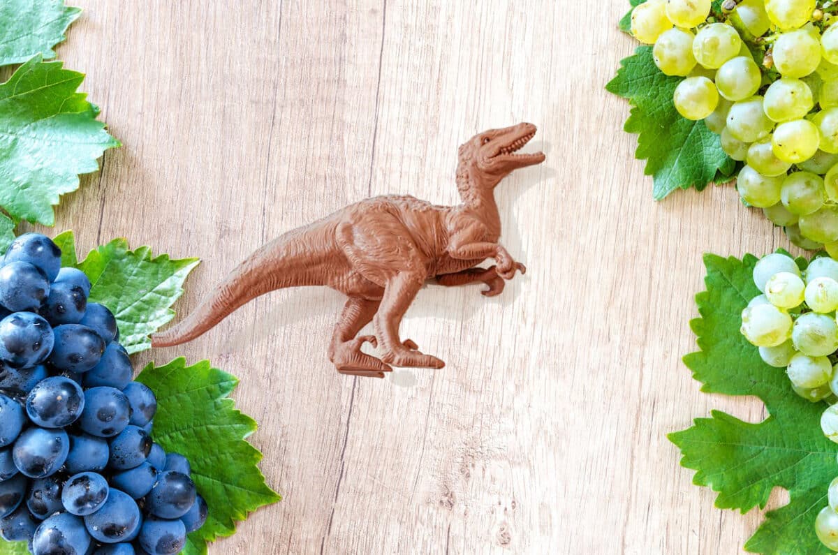 La extinción de los dinosaurios hizo que hoy tengamos vino