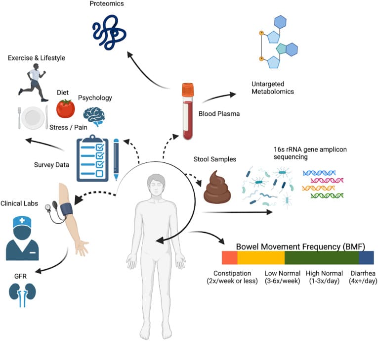 Los participantes proporcionaron muestras de plasma sanguíneo y heces, además de rellenar extensos cuestionarios sobre dieta, salud y estilo de vida. (Johnson-Martínez et al., Cell Reports, 2024)