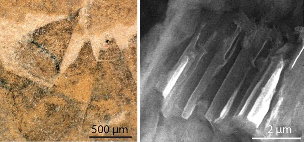 Espinas cónicas que cubren el cuerpo de Shishania aculeata (izquierda). Imagen de microscopio electrónicode una espina cónica que muestra los canales microscópicos conservados en su interior (derecha). Crédito: G Zhang/L Parry.