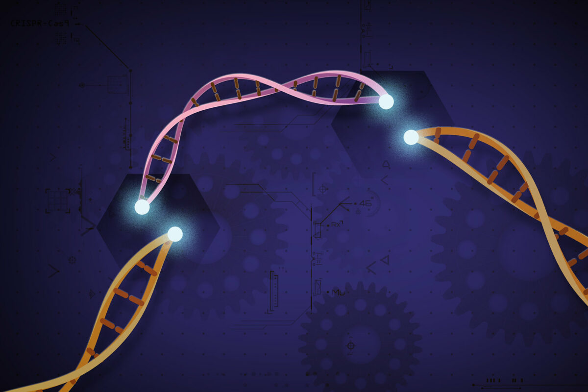 Unas nuevas tijeras para editar genes con más eficacia