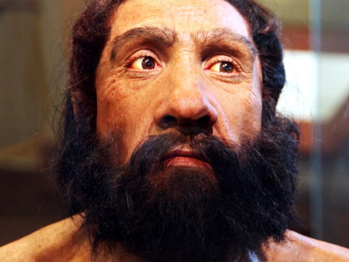 Los neandertales pudieron extinguirse por vivir aislados