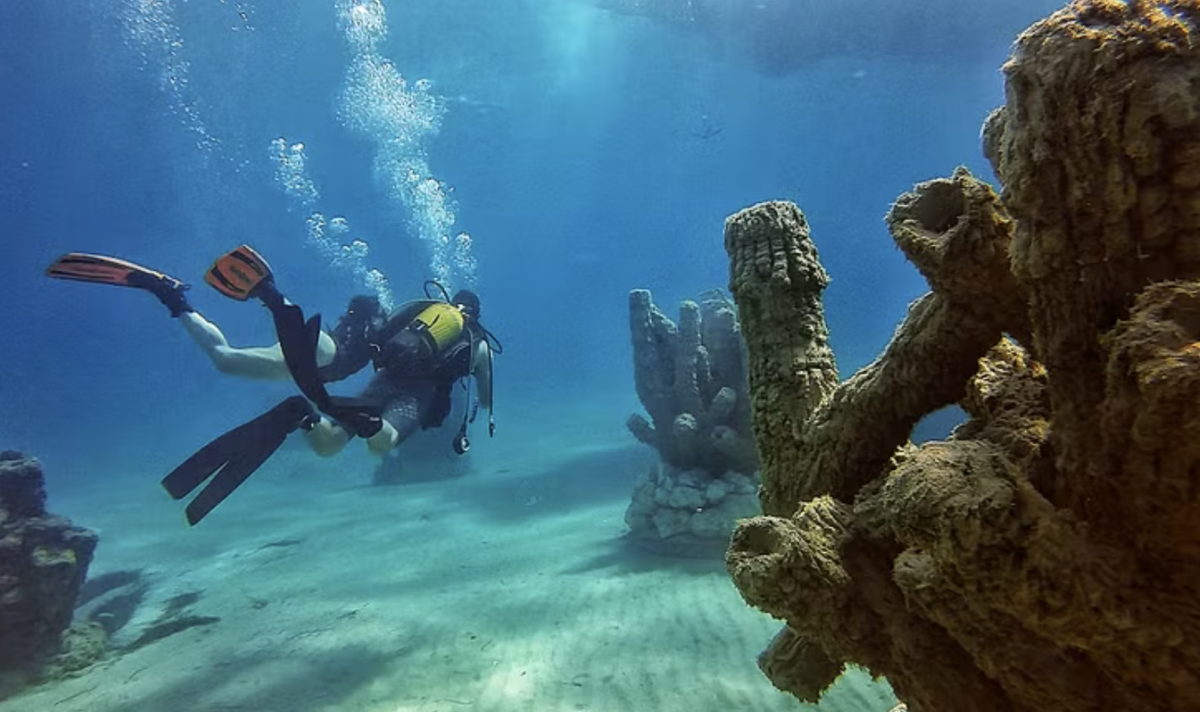 Buceo científico para preservar el Mediterráneo