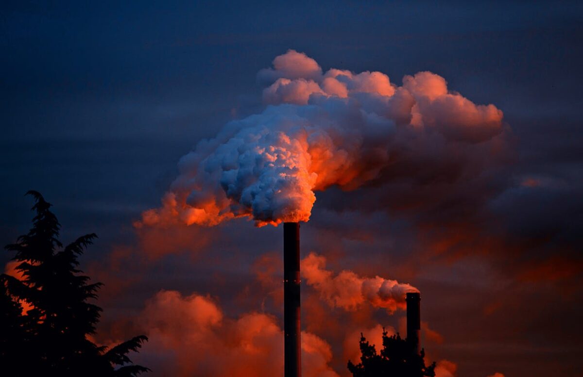 Utilizar la fotosíntesis para convertir dos gases de efecto invernadero en productos químicos valiosos