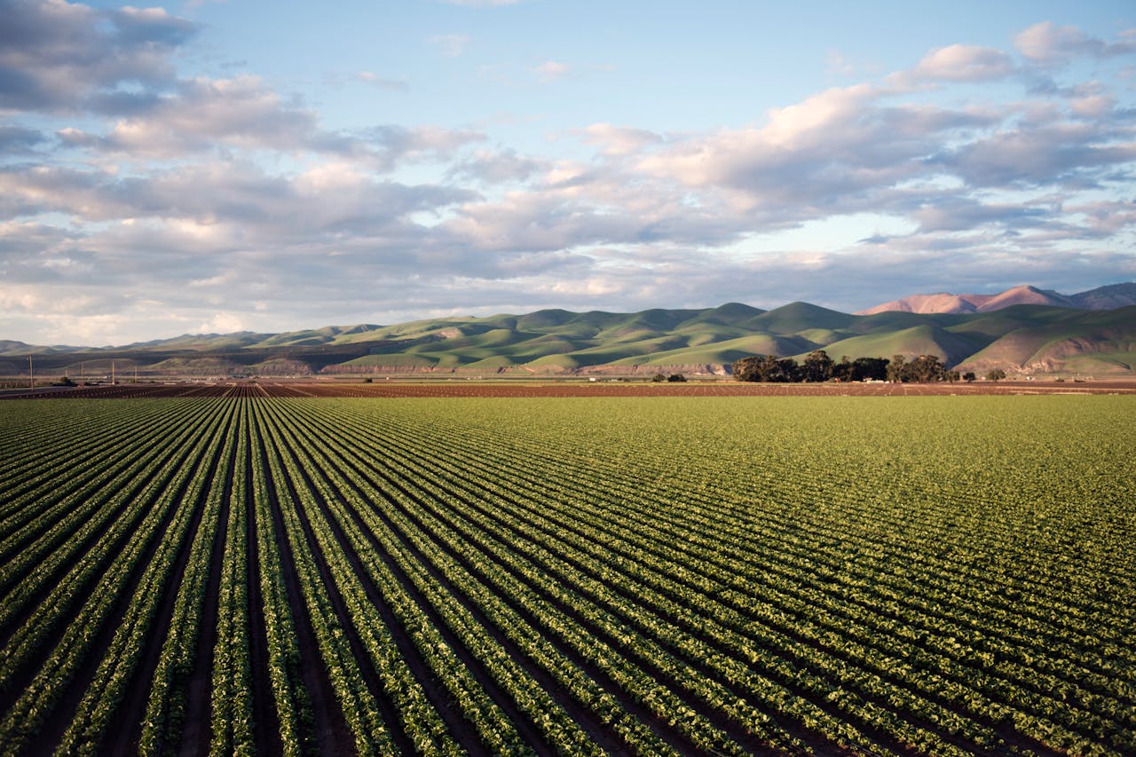 La agricultura contribuye al aumento de CO2, así podría ayudar a reducirlo