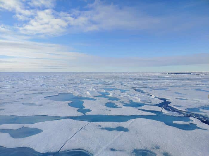 El hielo marino del Ártico se derrite a un ritmo sin precedentes. Créditos: Céline Heuzé/Universidad de Gotemburgo