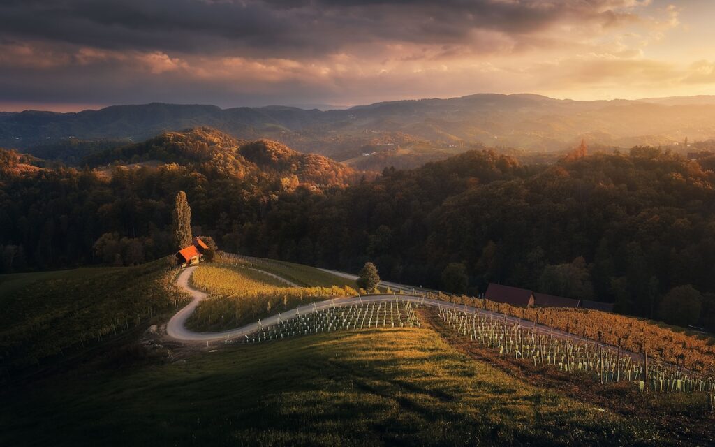 Photography Makers: “Si tuviésemos que definir la fotografía de paisaje con una sola palabra, esa sería: libertad” 2 Slovenian vineyards Photography Makers: “Si tuviésemos que definir la fotografía de paisaje con una sola palabra, esa sería: libertad”