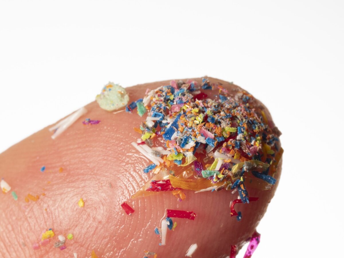Los microplásticos en el cerebro están provocando alzéimer y parkinson