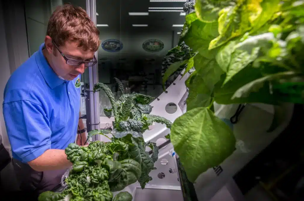 La NASA necesita jardineros espaciales, esta es la razón 1 Matt Romeyn, de la NASA, trabaja en el Área de Investigación sobre Producción de Alimentos Agrícolas de la Instalación de Procesamiento de la Estación Espacial, en el Centro Espacial Kennedy de la agencia, en Florida. NASA/Cory Huston