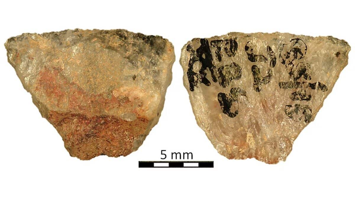 Las flechas envenenadas más antiguas que se conocen tienen 60.000 años