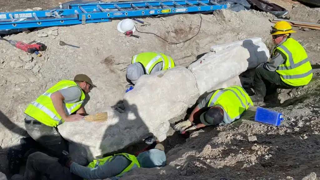 El diplodocus en el aparcamiento: huesos de dinosaurio encontrados en unas obras 1 huesos de dinosaurio encontrados en un aparcamiento