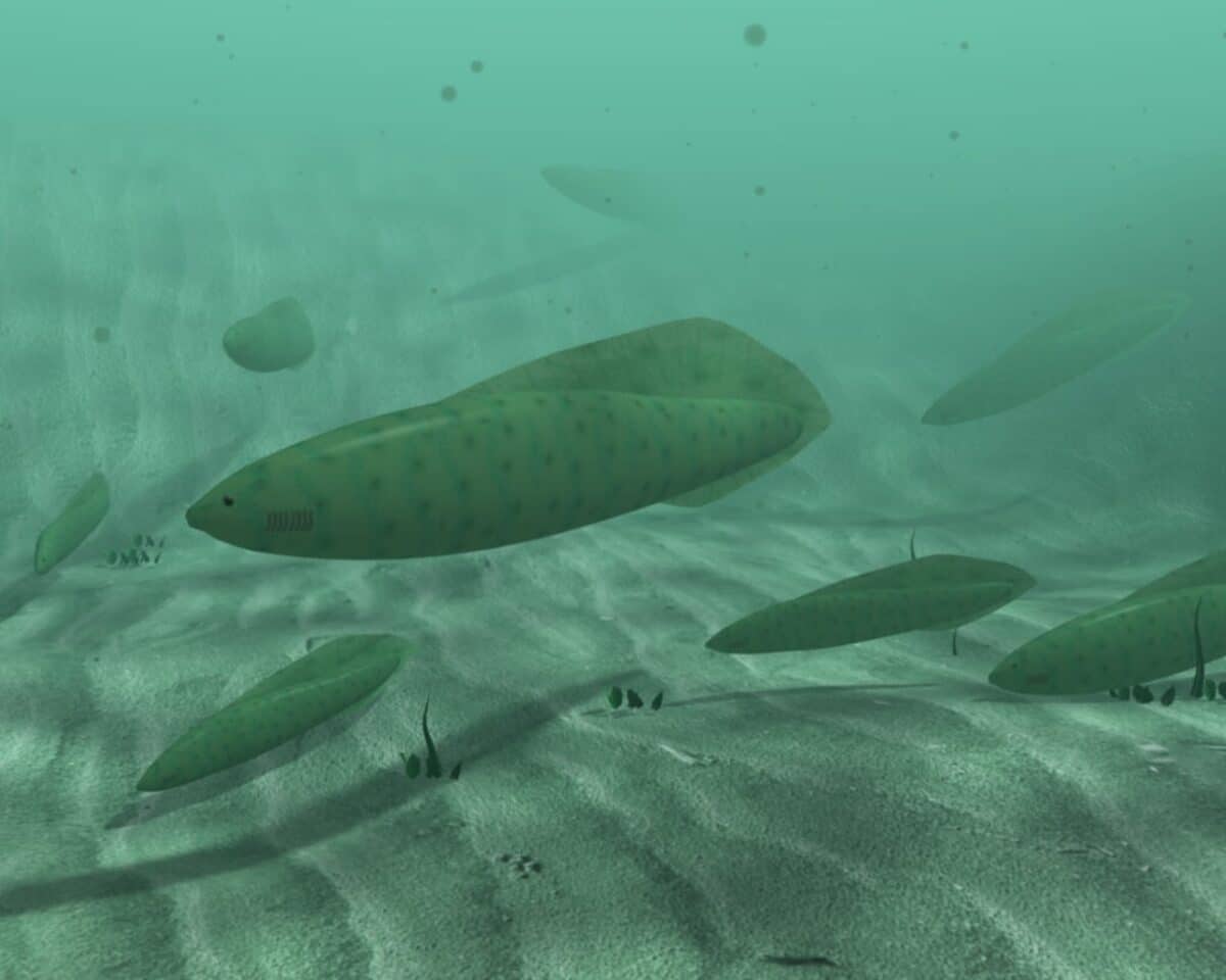 ¿Peces con cuatro ojos? Los primeros vertebrados tenían visión panorámica