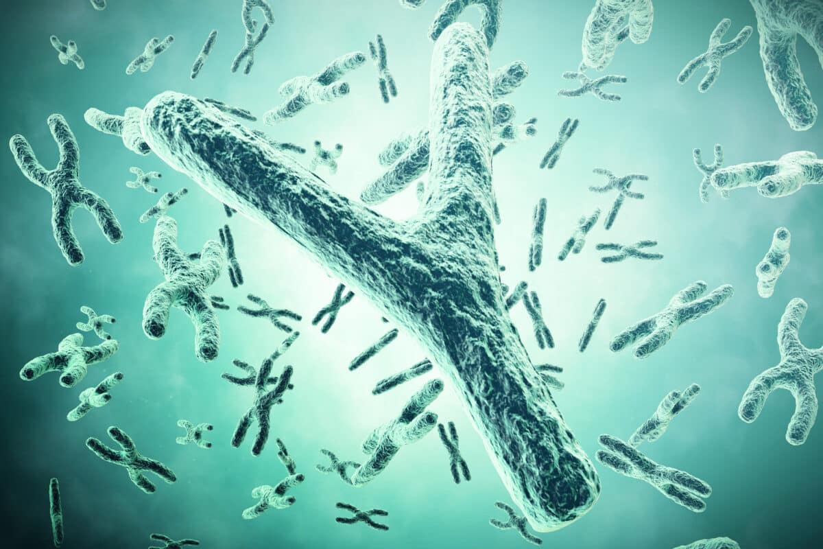 Los hombres están perdiendo su cromosoma Y, estos son los riesgos