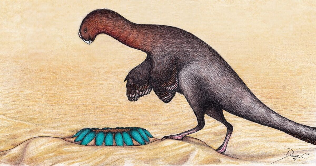 ¿Cómo se incubaban los huevos de dinosaurio? No muy bien