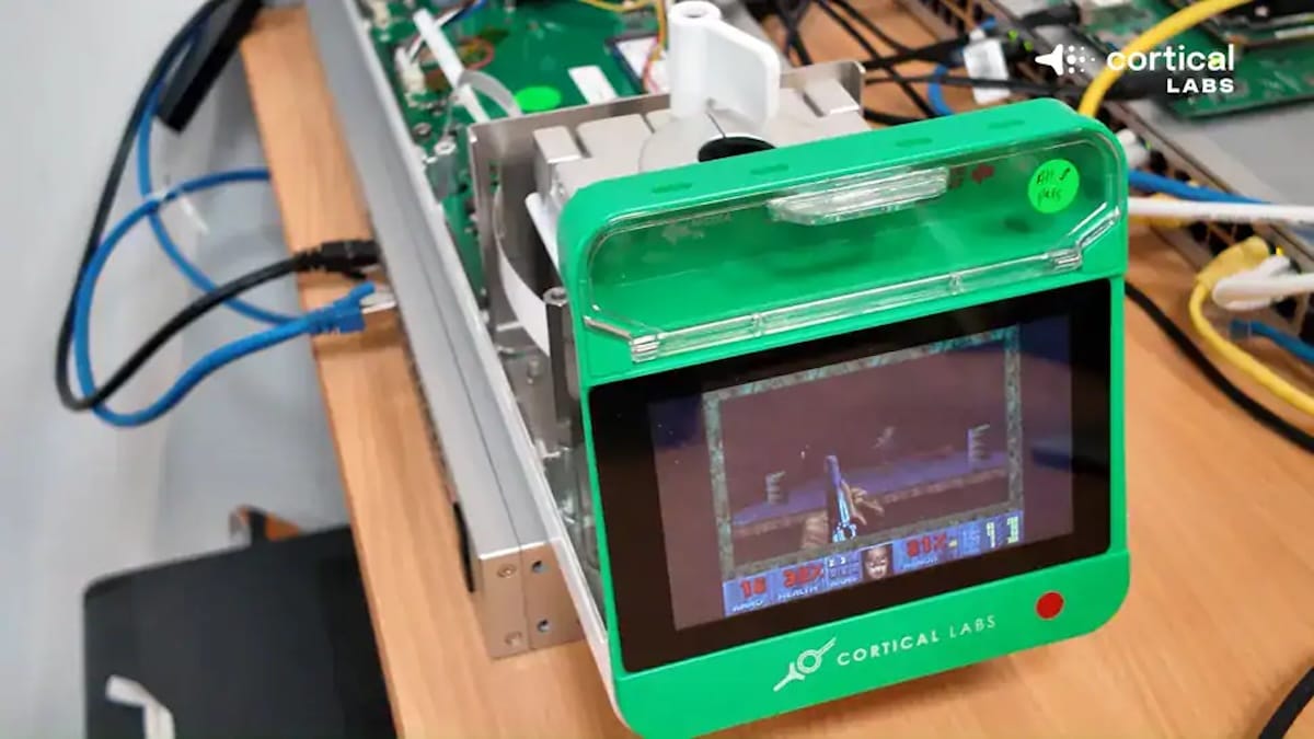 Uno pocos miles de neuronas humanas en chips aprenden a jugar a Doom