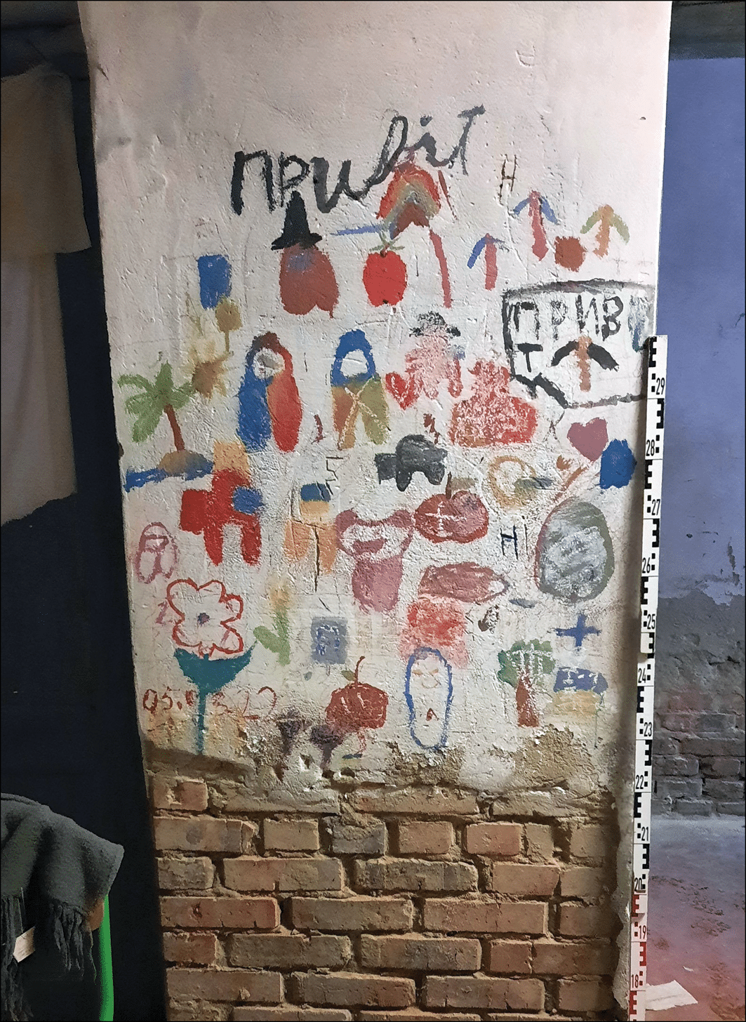 Fósiles modernos