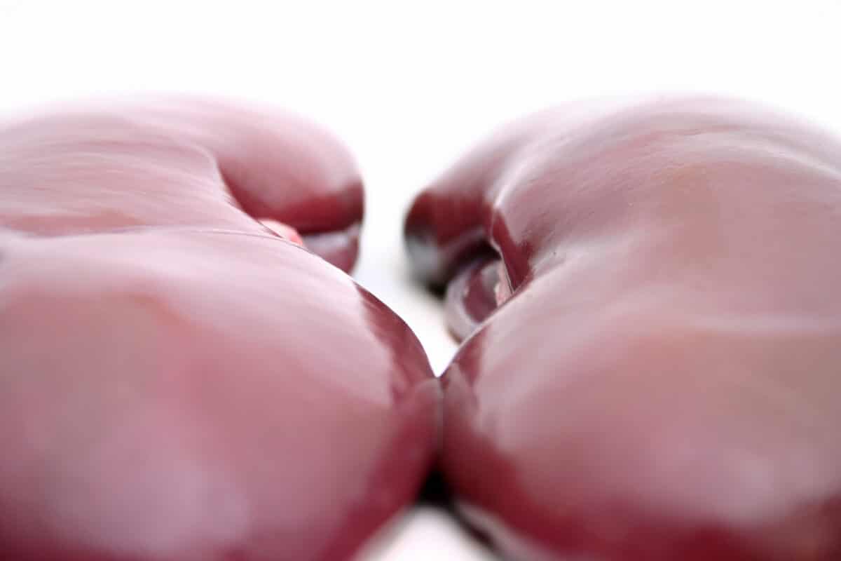 Los riñones enfermos fabrican un veneno que destruye el corazón