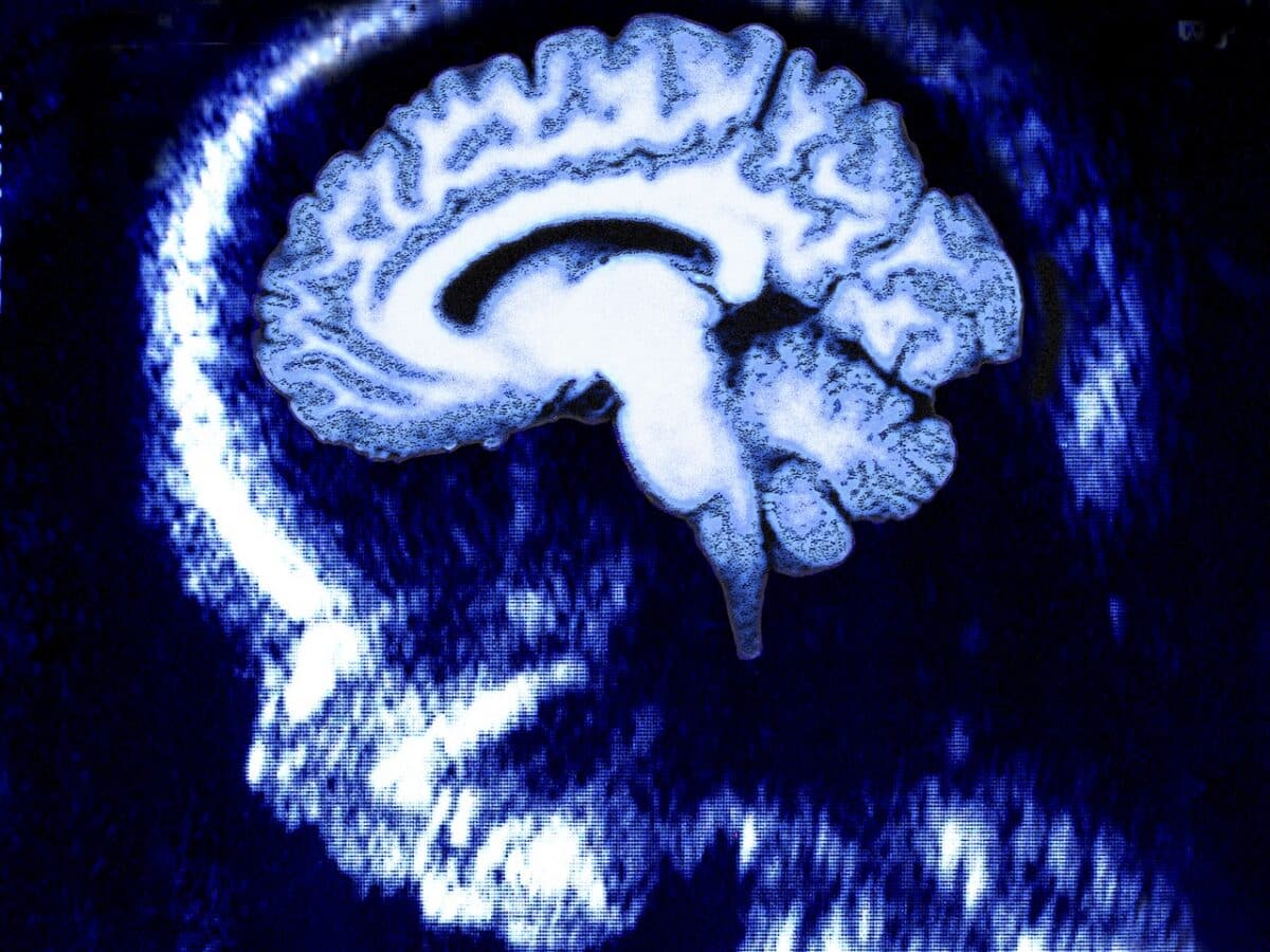 Cómo funciona nuestro cerebro al nacer: no somos un lienzo en blanco