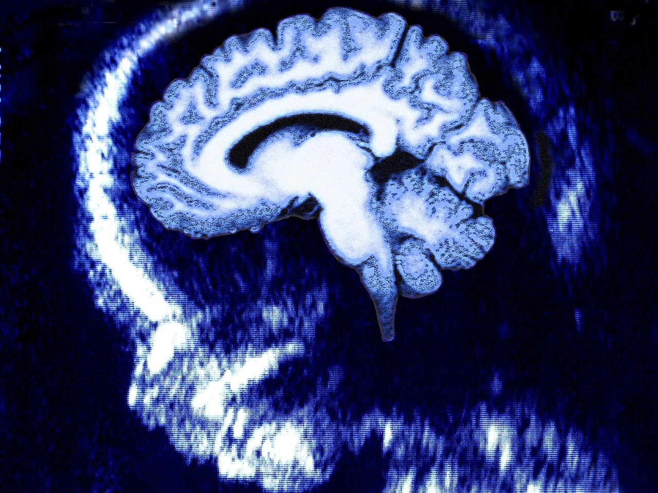 Cómo funciona nuestro cerebro al nacer: no somos un lienzo en blanco