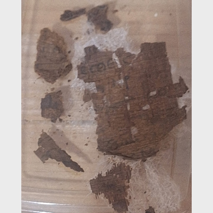 Fragmentos del papiro de la Íliada. Crédito: Universitat de Barcelona