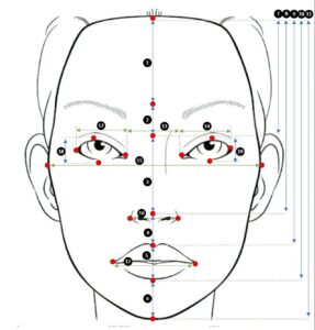 Diagrama estilizado para ilustrar los puntos de referencia de 21 puntos (círculos rojos) y las medidas de recuento de 19 píxeles. Fuente: Sage Journal