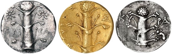 Ejemplos de monedas cirenaicas con la representación fálica de la planta silfión