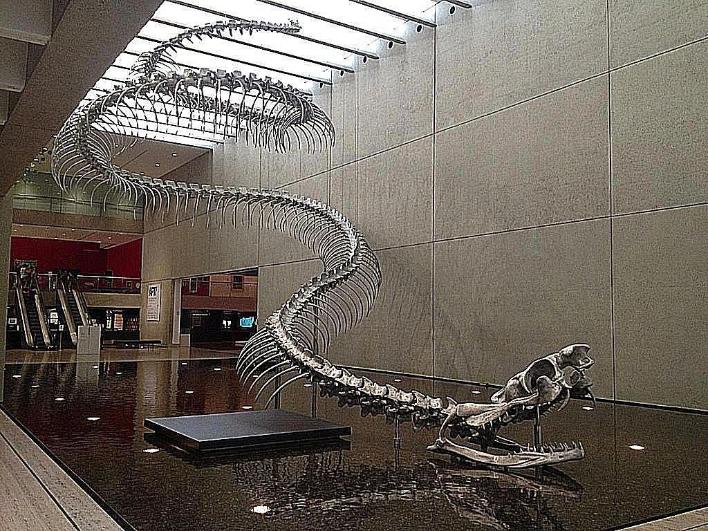 La serpiente más grande de la historia: 15 metros de largo y 47 millones de años