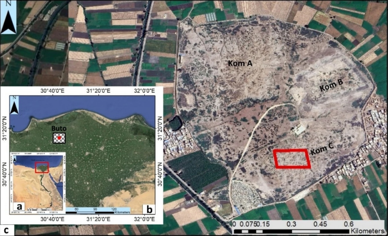 Mapa de ubicación del yacimiento arqueológico de Buto: a) imagen de Google Earth de Egipto; b) ubicación de Buto en el noroeste del delta del Nilo; c) vista ampliada del yacimiento de Buto en la que se aprecian tres montículos (koms) y la zona investigada, delimitada por el rectángulo rojo dentro del kom C