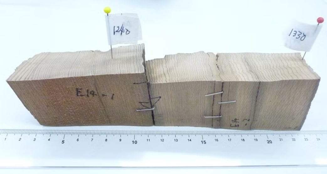 Muestras de ciprés asunaro