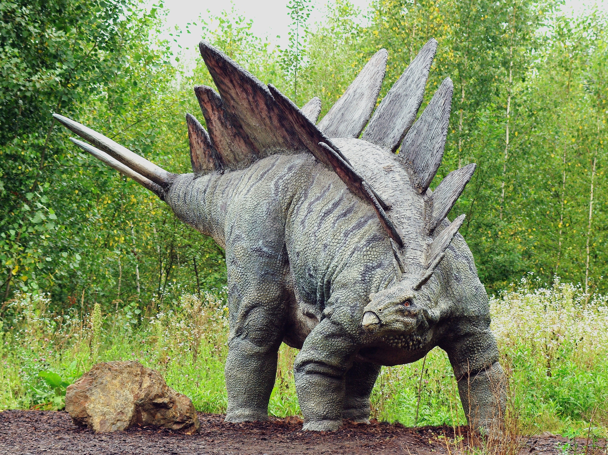 El eslabón perdido de los dinosaurios acorazados encontrado en Teruel 