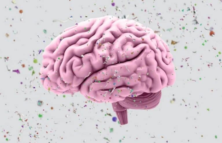 plástico en el cerebro
